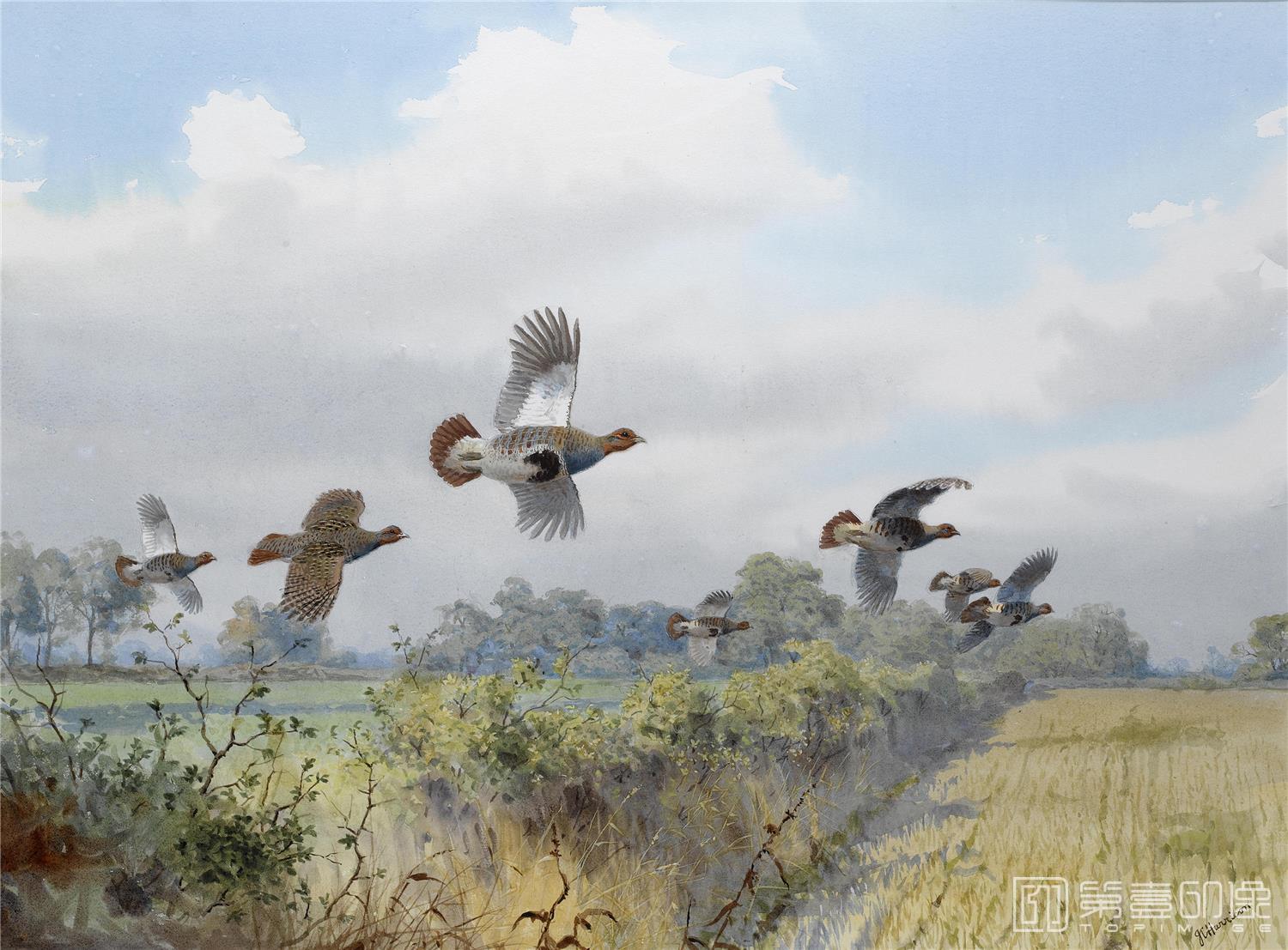 油画-约翰.赛里尔·哈里森 John Harrison作品集-124